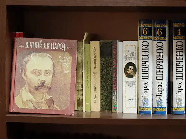Стелажі з літературою
